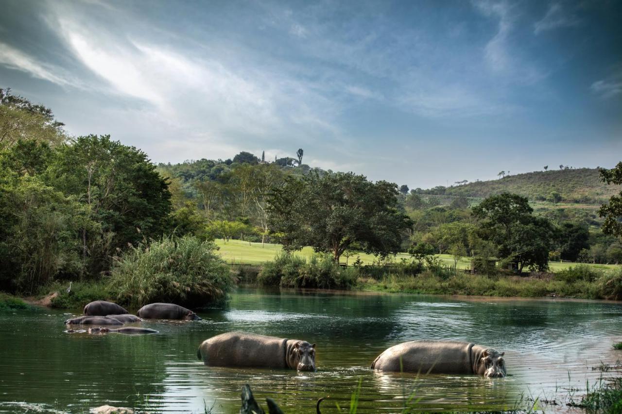 Sabi River Sun Resort هازيفيو المظهر الخارجي الصورة
