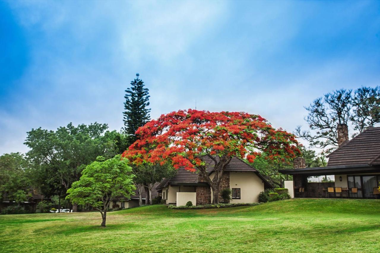 Sabi River Sun Resort هازيفيو المظهر الخارجي الصورة