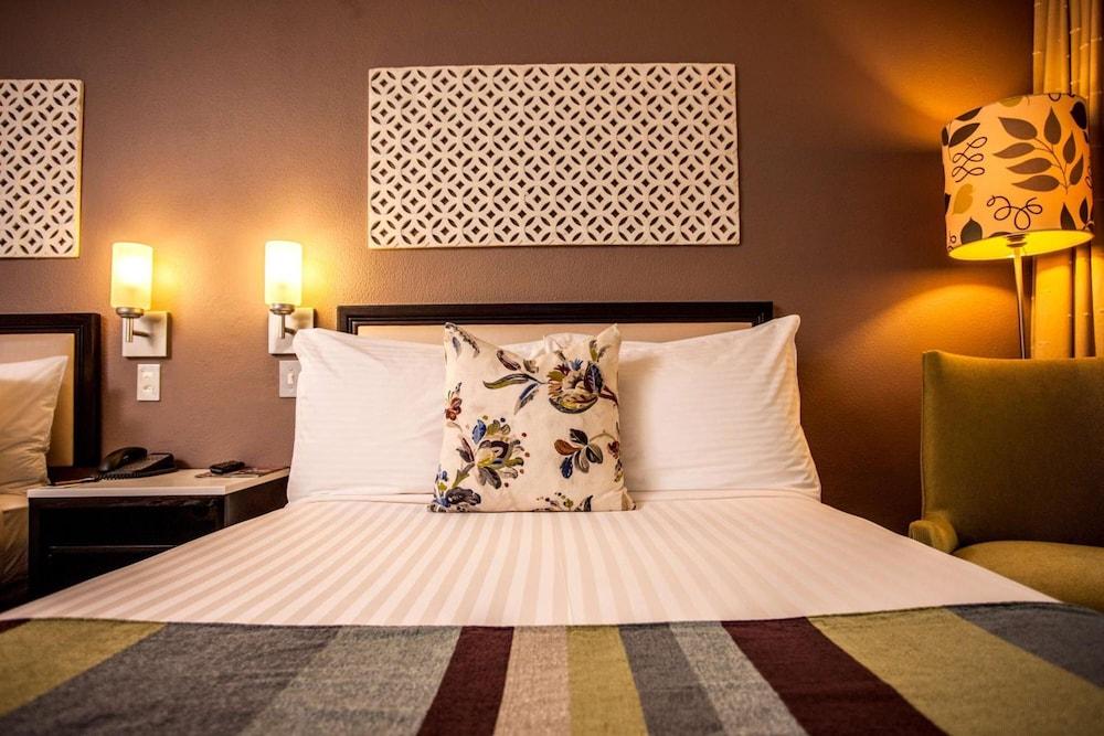 Sabi River Sun Resort هازيفيو المظهر الخارجي الصورة
