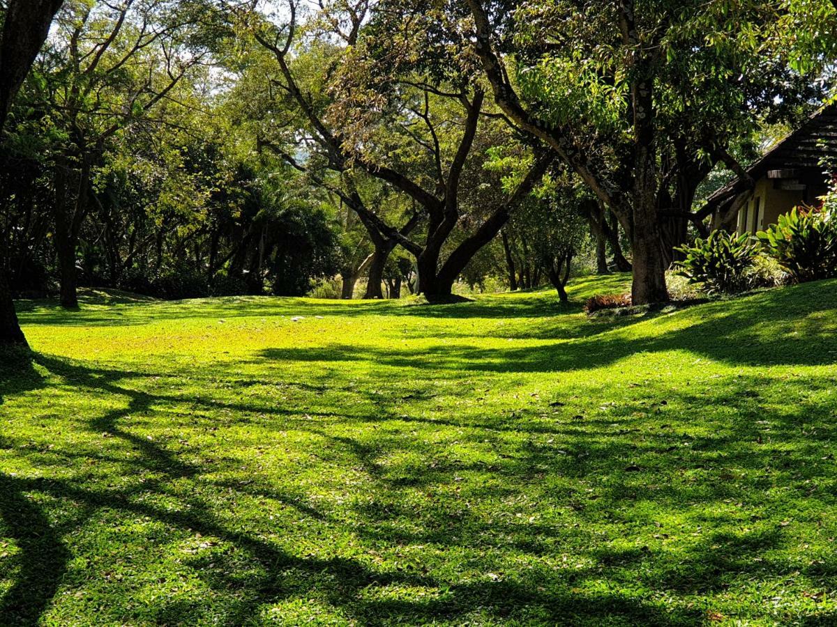 Sabi River Sun Resort هازيفيو المظهر الخارجي الصورة